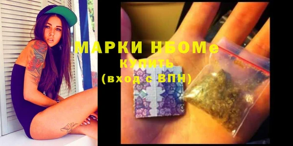 индика Аркадак