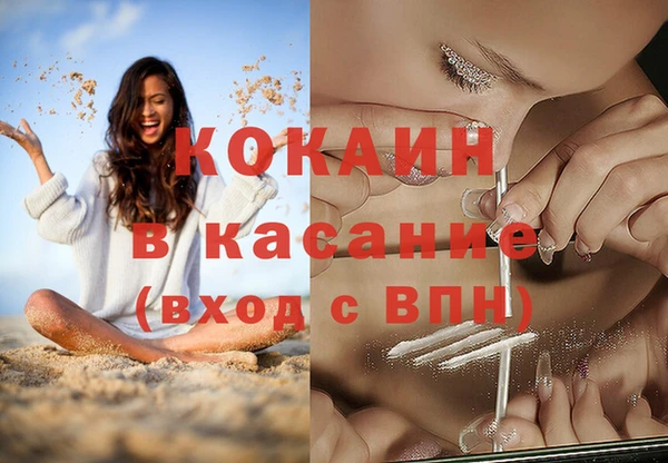 индика Аркадак