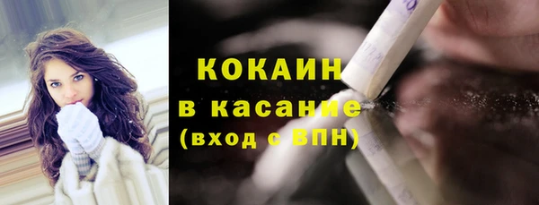 индика Аркадак