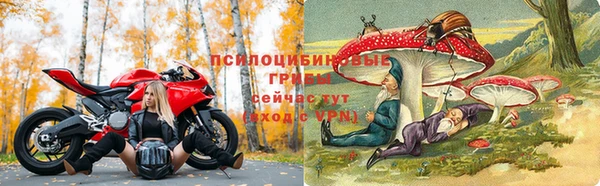 метадон Арсеньев
