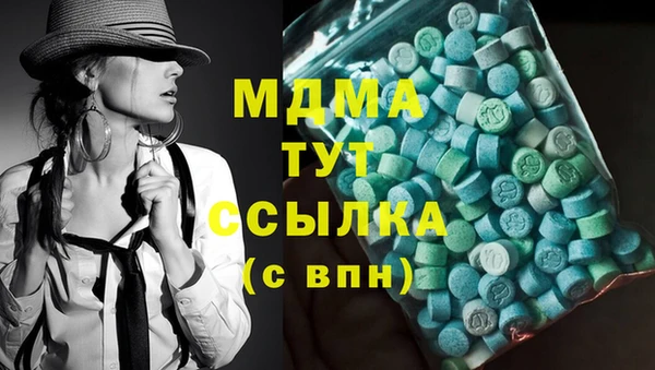 индика Аркадак