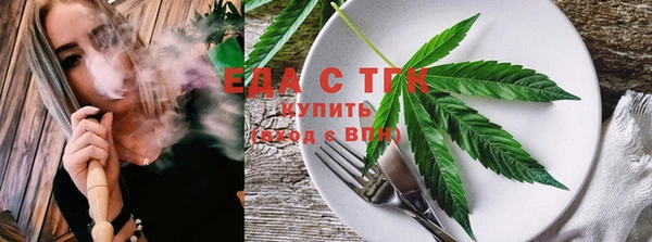индика Аркадак