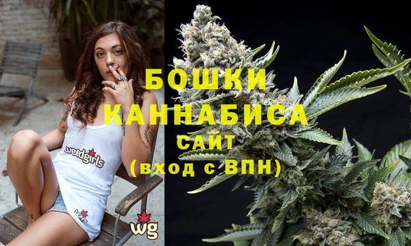 индика Аркадак