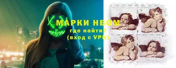 индика Аркадак