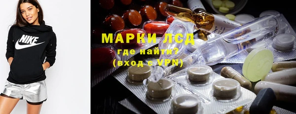 индика Аркадак